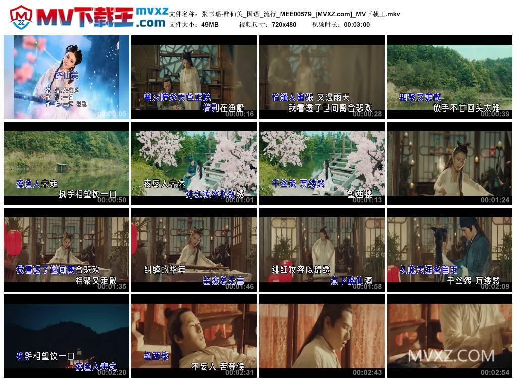 张书瑶-醉仙美_国语_流行_MEE00579